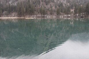 宁静湖水与岸边树林倒影