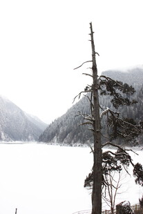 冬日枯树旁的静谧山水景