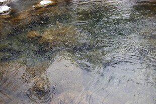 清澈溪流中的水波与石块