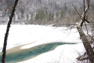 冬日雪覆河畔的清幽景致