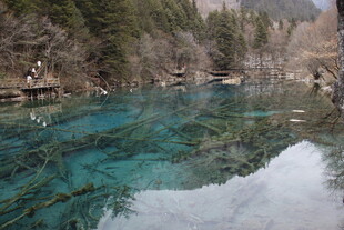 九寨沟清澈蓝绿湖水美景