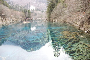 清澈河谷中的梦幻山水倒影