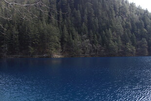 静谧蓝湖旁的葱郁山林