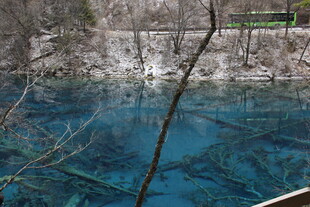 清澈蓝湖中的水下景观