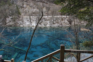 蓝湖美景 林间观景台视角