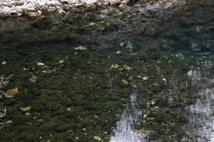 清澈溪流中的多彩水底世界