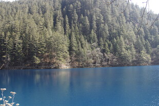 蓝色湖泊边的葱郁山林