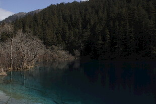 九寨沟蓝绿色湖水美景