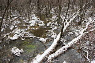冬日雪覆溪流林间景象