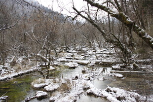 冬日溪流雪景图