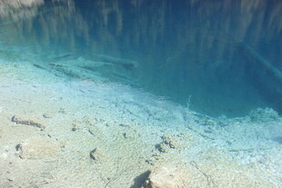 清澈海底世界景象