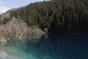 清澈湖水旁的山林美景
