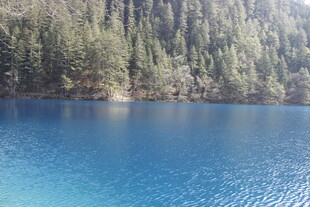 宁静蓝湖与葱郁山林