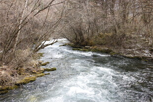 山间溪流潺潺流淌