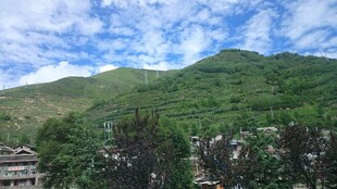 青山绿树间的美好景致