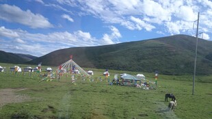 草原上的帐篷与自然风光