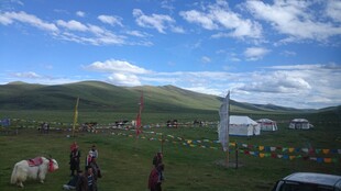 草原风光下的牧民生活场景