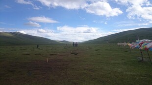 草原风光 蓝天白云下的美景