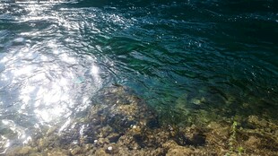 波光粼粼的清澈海水