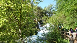 山间溪流旁的木质观景步道