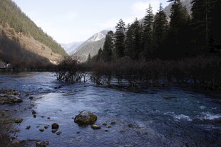 山间清澈河流与茂密树林