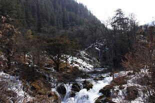 山间雪覆溪流自然美景