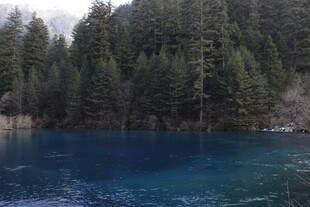 蓝湖映松景 自然之绮丽