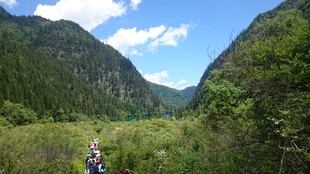 山间徒步者穿行葱郁绿野