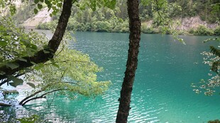 湖畔绿树环绕的碧蓝湖水