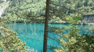 湖畔森林中的幽蓝湖水