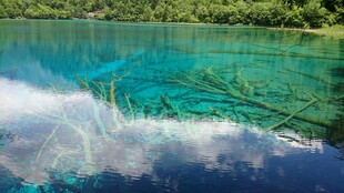 清澈蓝绿湖水水下景观