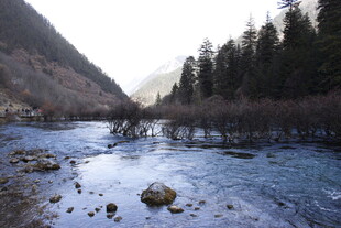 山间河流与茂密树林景观