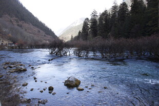 山间溪流冬日静谧美景