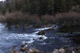 山间溪流潺潺 景致清幽