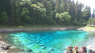 清澈蓝湖与岸边葱郁树林