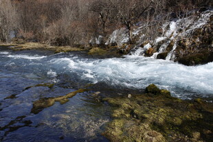 山间溪流 清澈灵动之景
