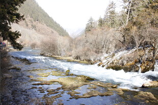 山间溪流潺潺美景