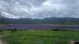 草原公路边的阴云与远山