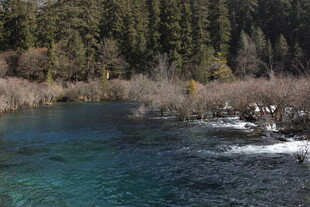 清澈幽蓝的山间溪流景色