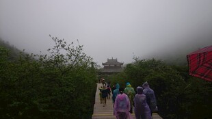 雾中漫步的游客