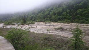 山间栈道 云雾缭绕之景