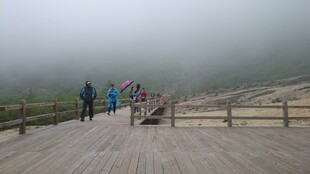 雾中栈道上的徒步者