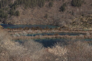 山间静谧湖泊与萧瑟树林