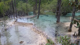 山林间的清澈溪流美景
