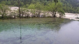 清澈河畔的自然美景