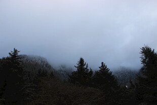 雾霭中的山林景色