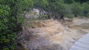 山间泥泞小径与绿植景观