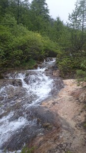 山间溪流潺潺的自然美景