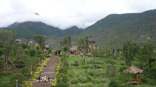 山间翠绿田园风光景致