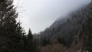 山林云雾缭绕的静谧景致